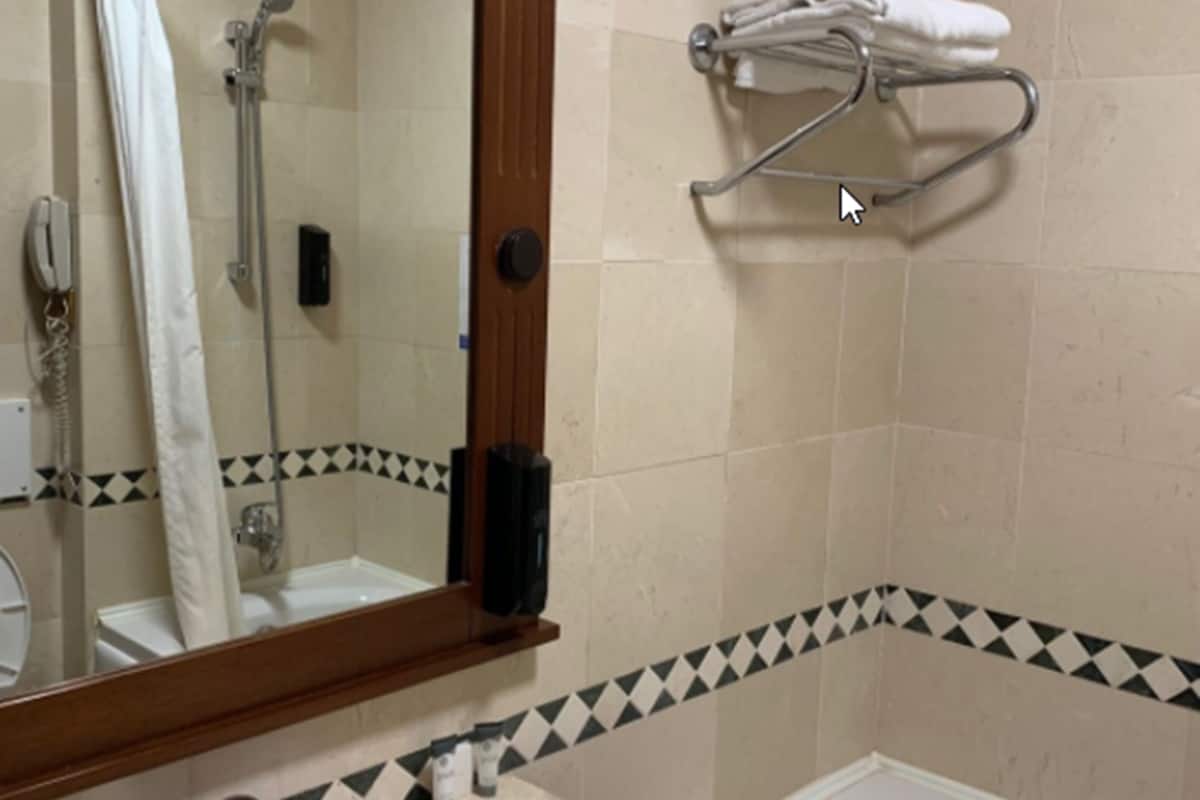 combined shower/bathtub, free toiletries, hair dryer, towels