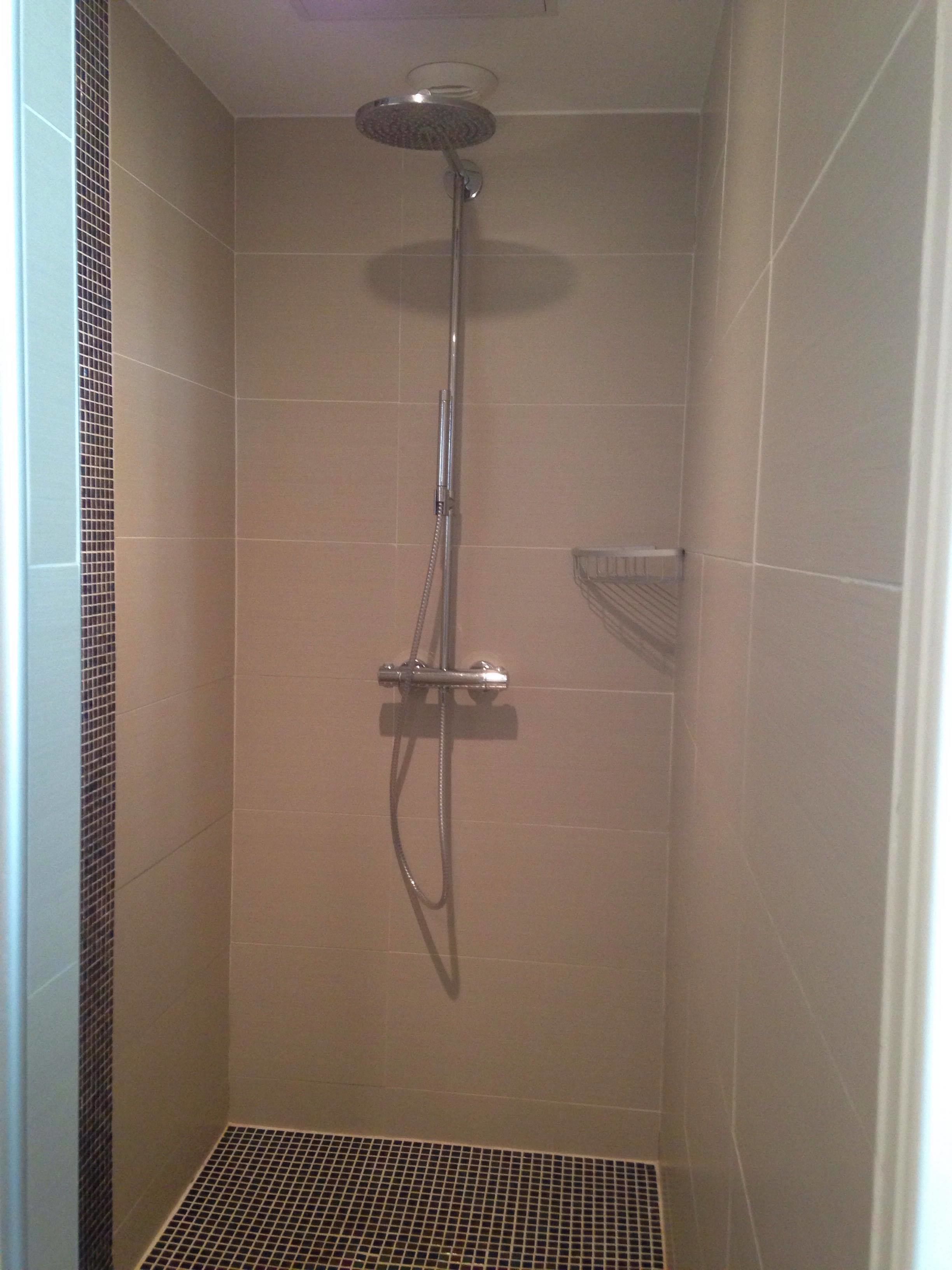 A shower with a handheld showerhead and a wall-mounted faucet.