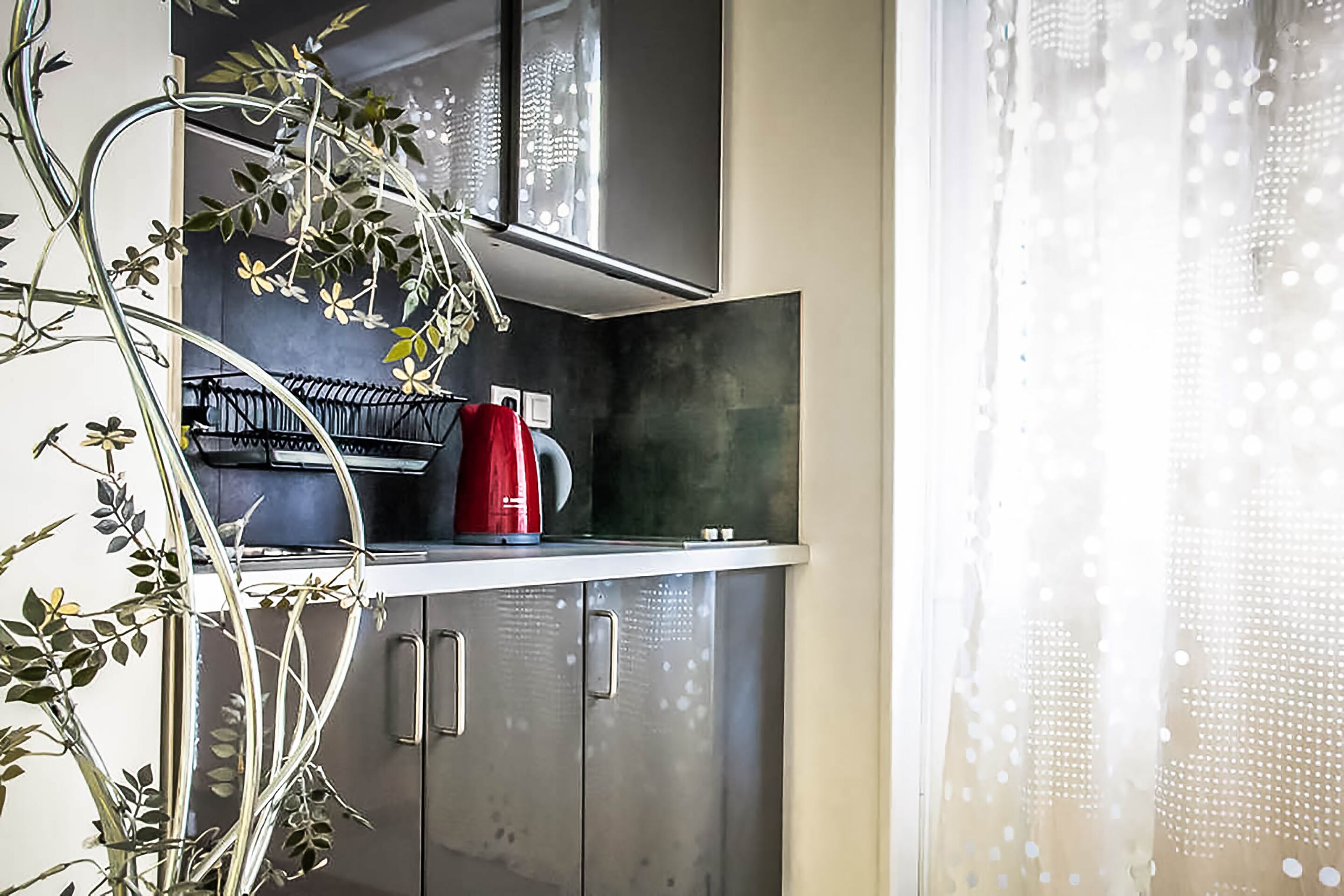 Una cocina con armarios de acero inoxidable, un hervidor rojo y una planta a la izquierda.
