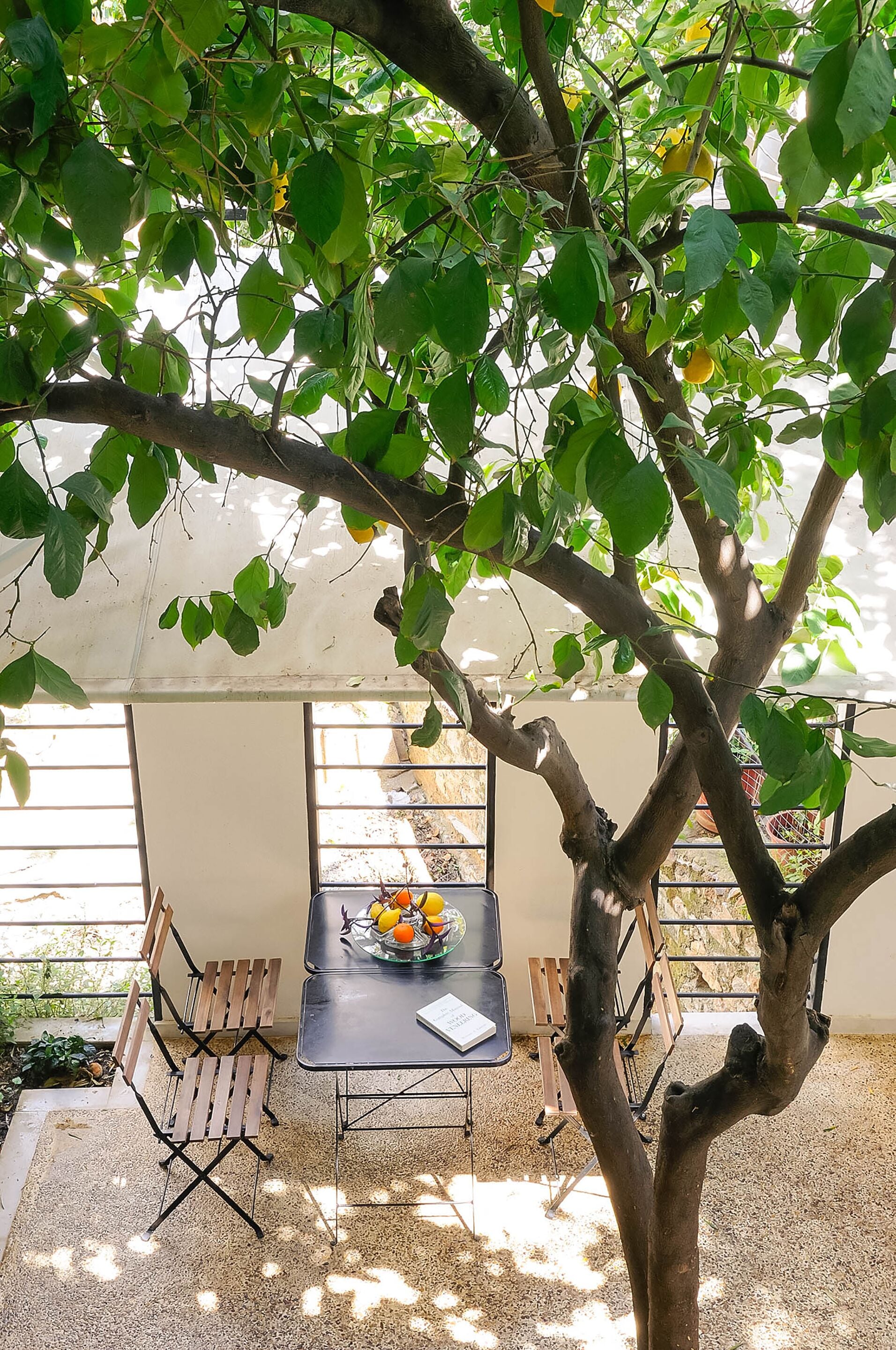 Foto - Athens Green Apartments