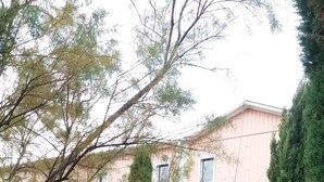 门廊