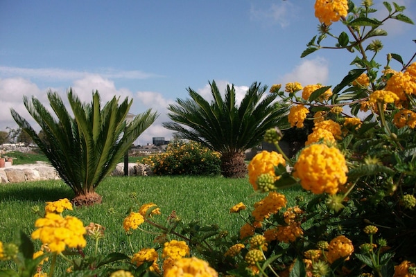 Memory foam (visko elastik) yatak, minibar, odada kasa, masa