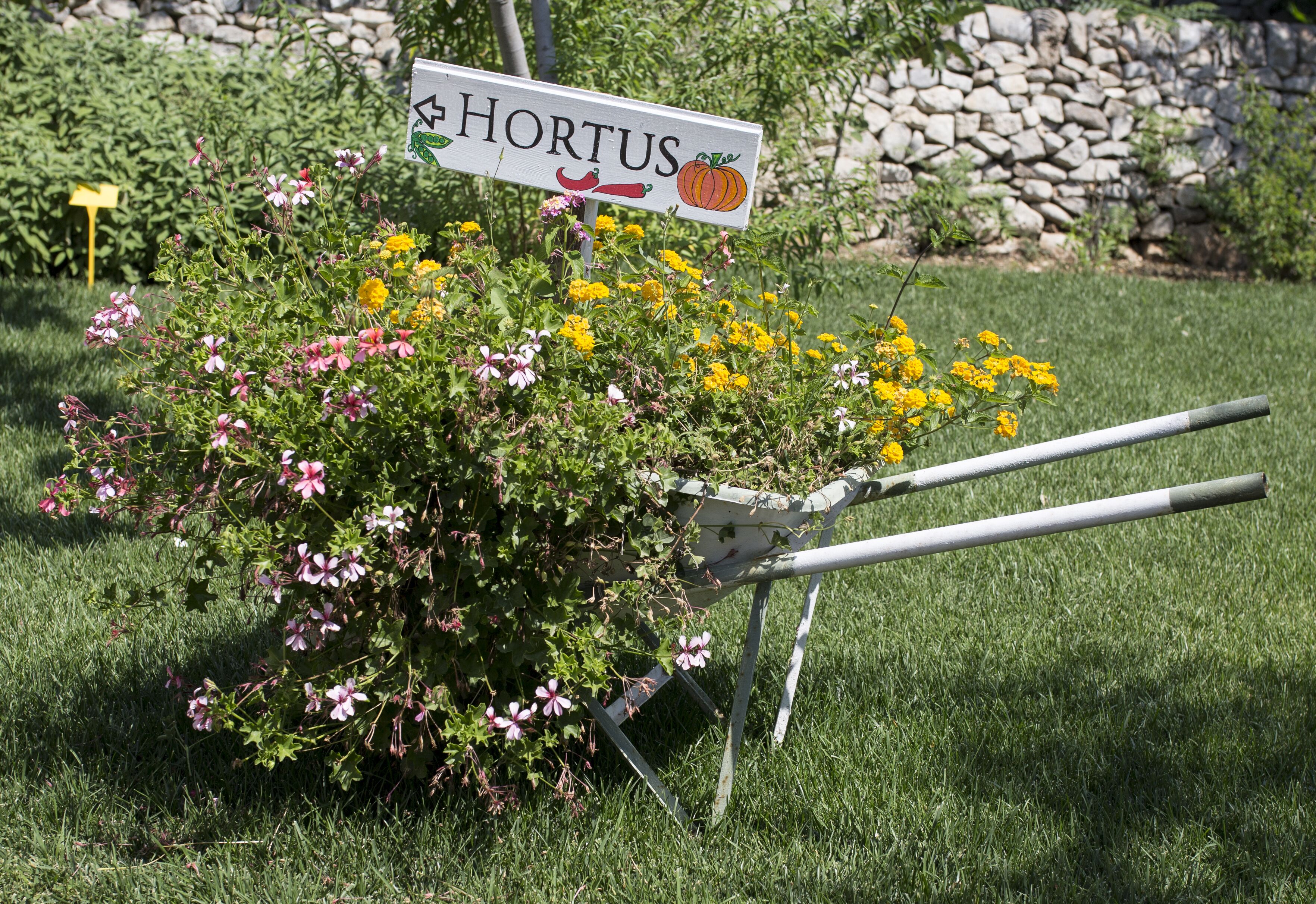 Un jardin avec une pancarte sur laquelle on peut lire « HORTUS » et une structure métallique surmontée d’une pelle.