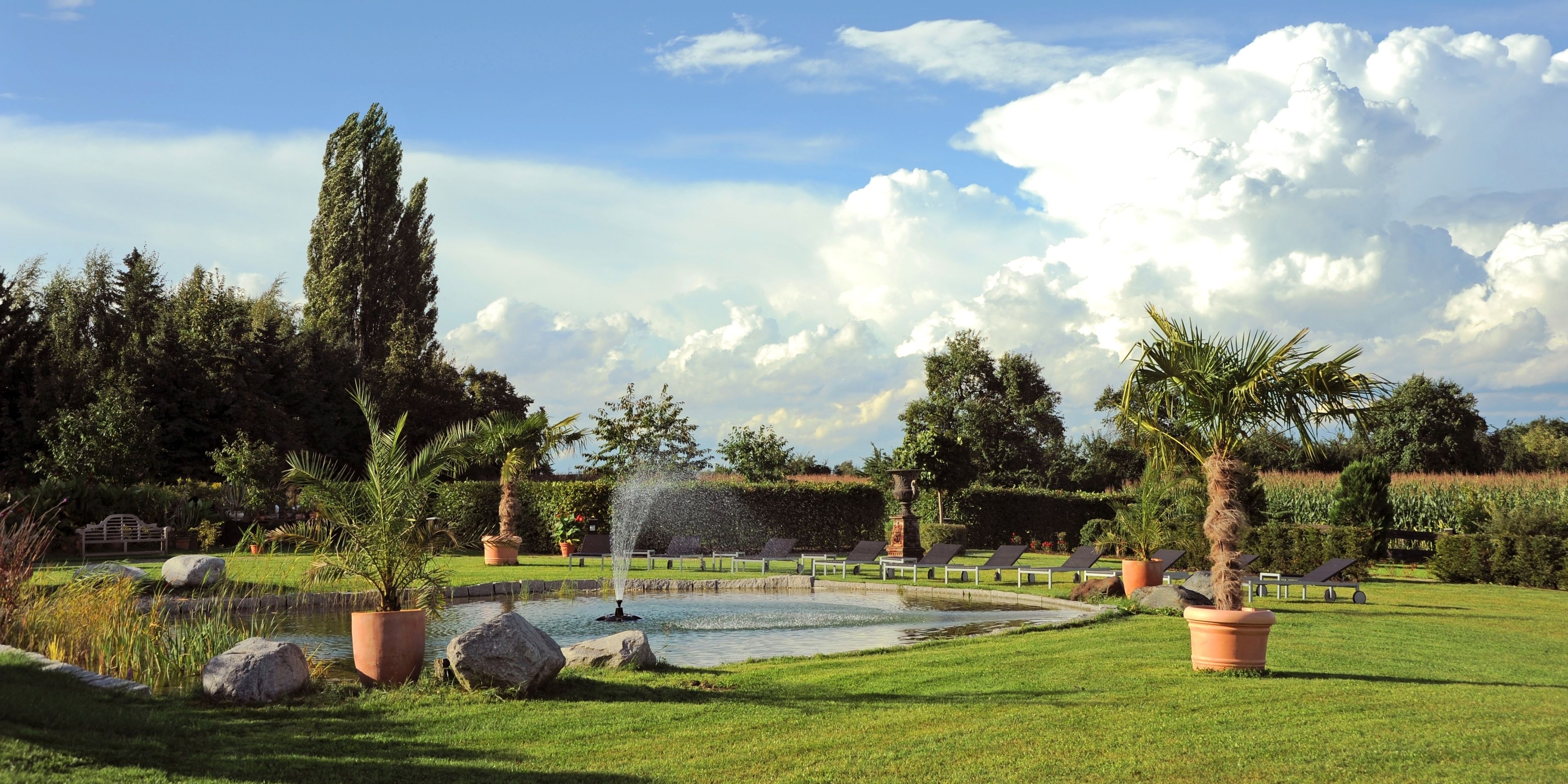 A serene garden with a pond, palm trees, and a row of sun loungers.