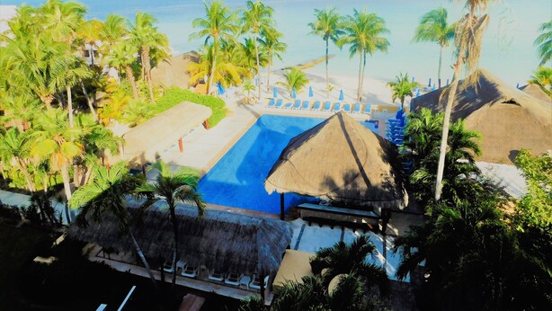 Un complexe hôtelier doté d’une piscine, de palmiers et offrant une vue sur la plage.