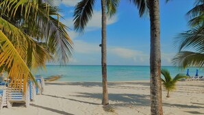 Une plage de sable blanc, bordée de palmiers, sous un ciel bleu et dégagé.