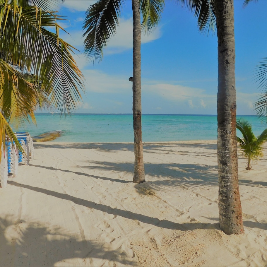 A beach with white sand, palm trees, and a clear blue sky.