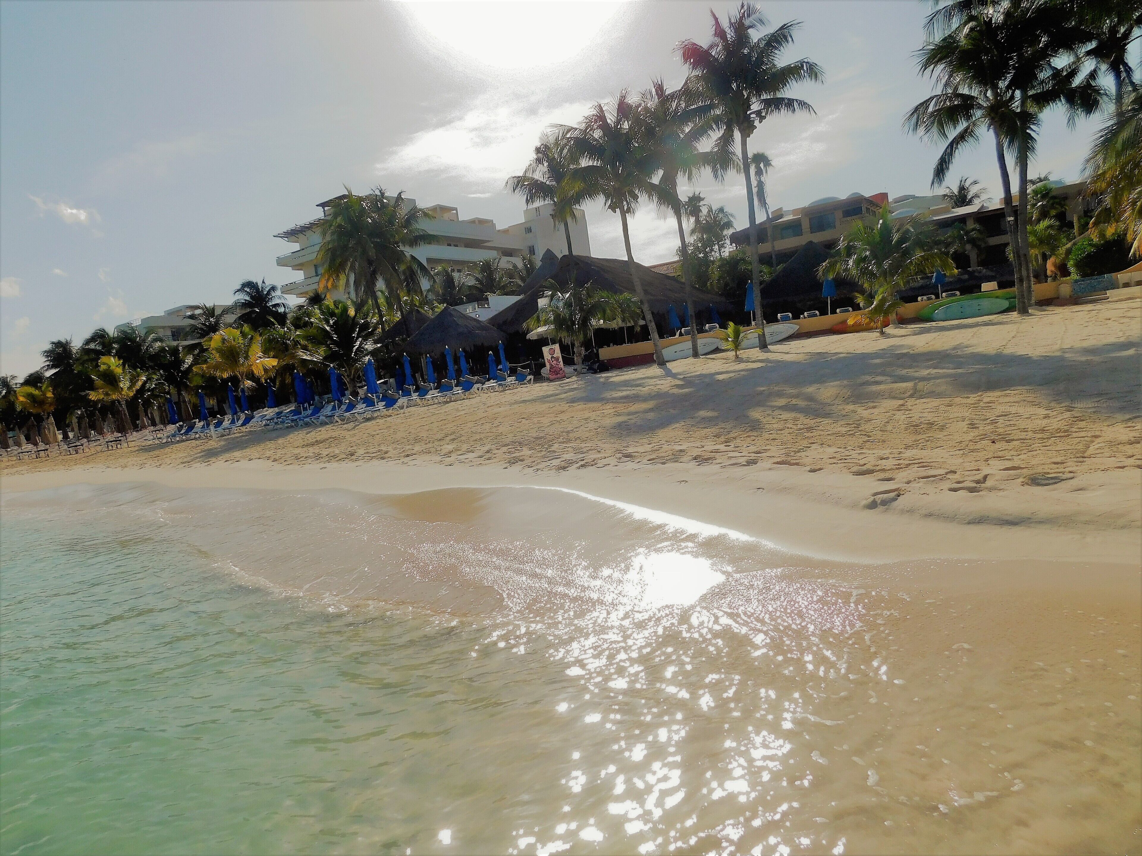A beach with clear water, palm trees, and beach chairs.