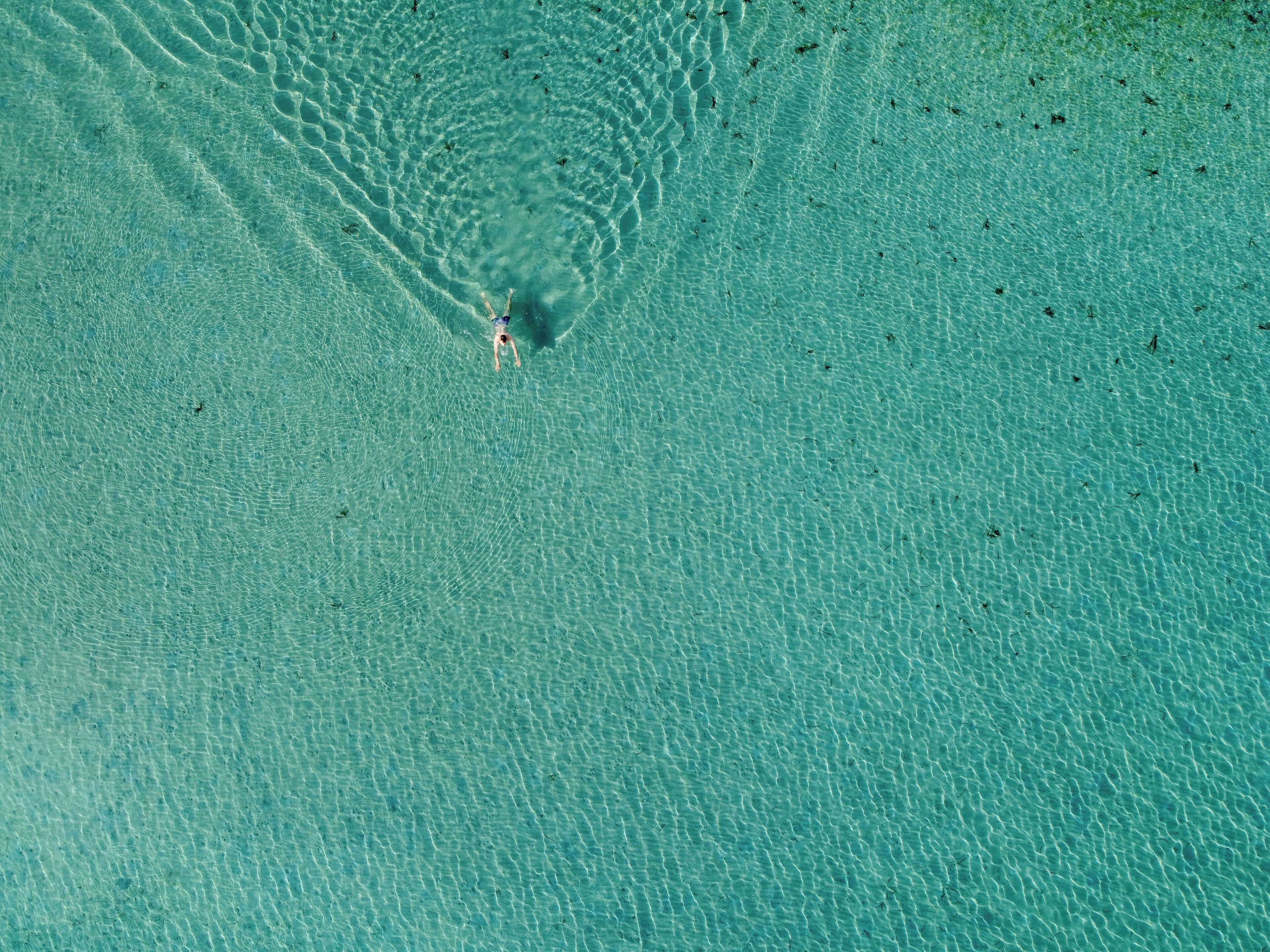 A clear aerial view of a beach with a person swimming in the water.