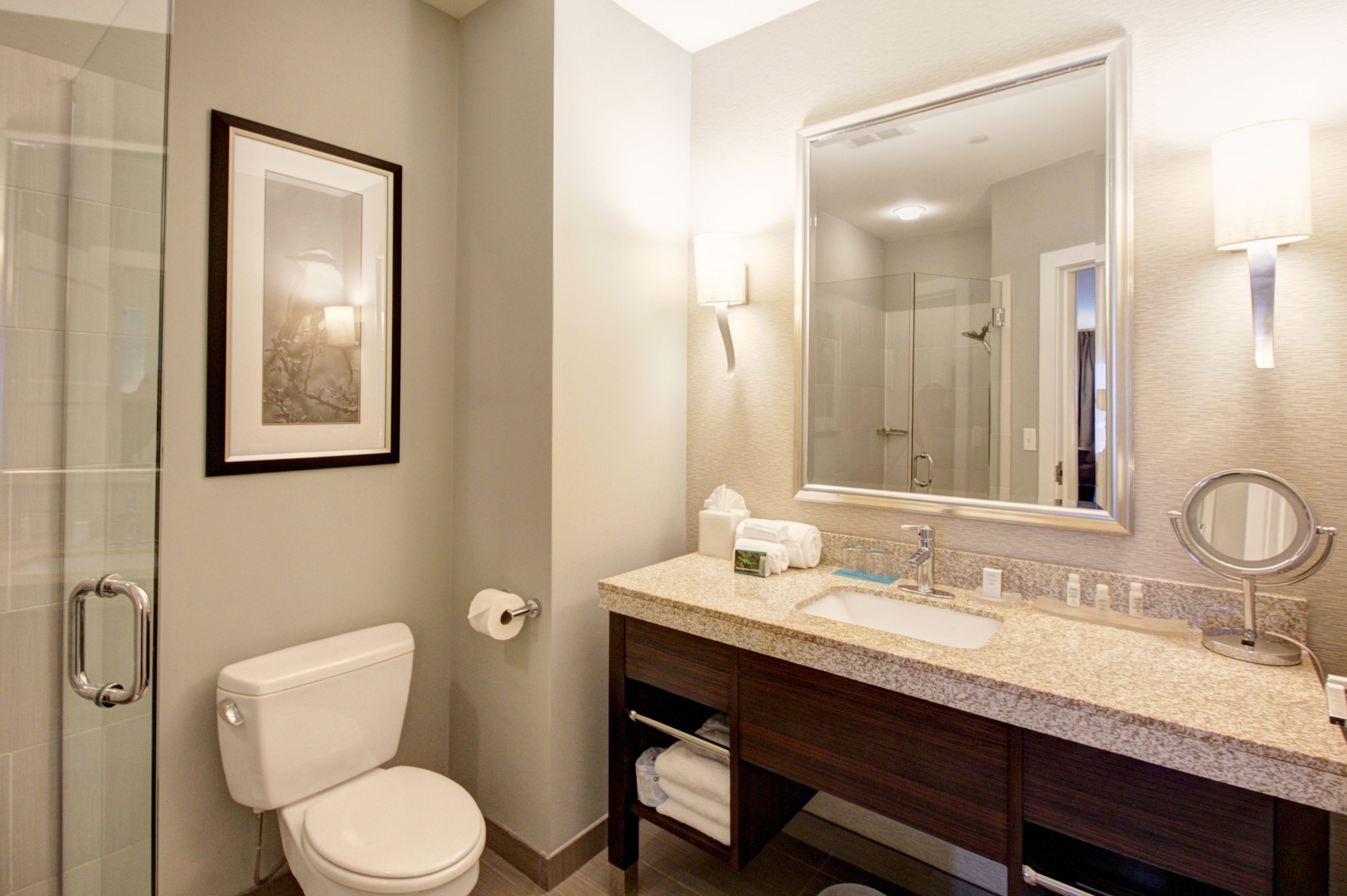 A bathroom with a toilet, sink, mirror, framed artwork, and a shower area.