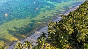 Una playa con aguas turquesas cristalinas, una orilla de arena y densas palmeras.