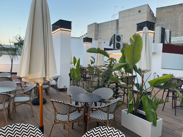 Rooftop terrace - Hotel La Boutique Puerta Osario (Córdoba)