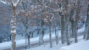 Una calle cubierta de nieve bordeada de árboles.