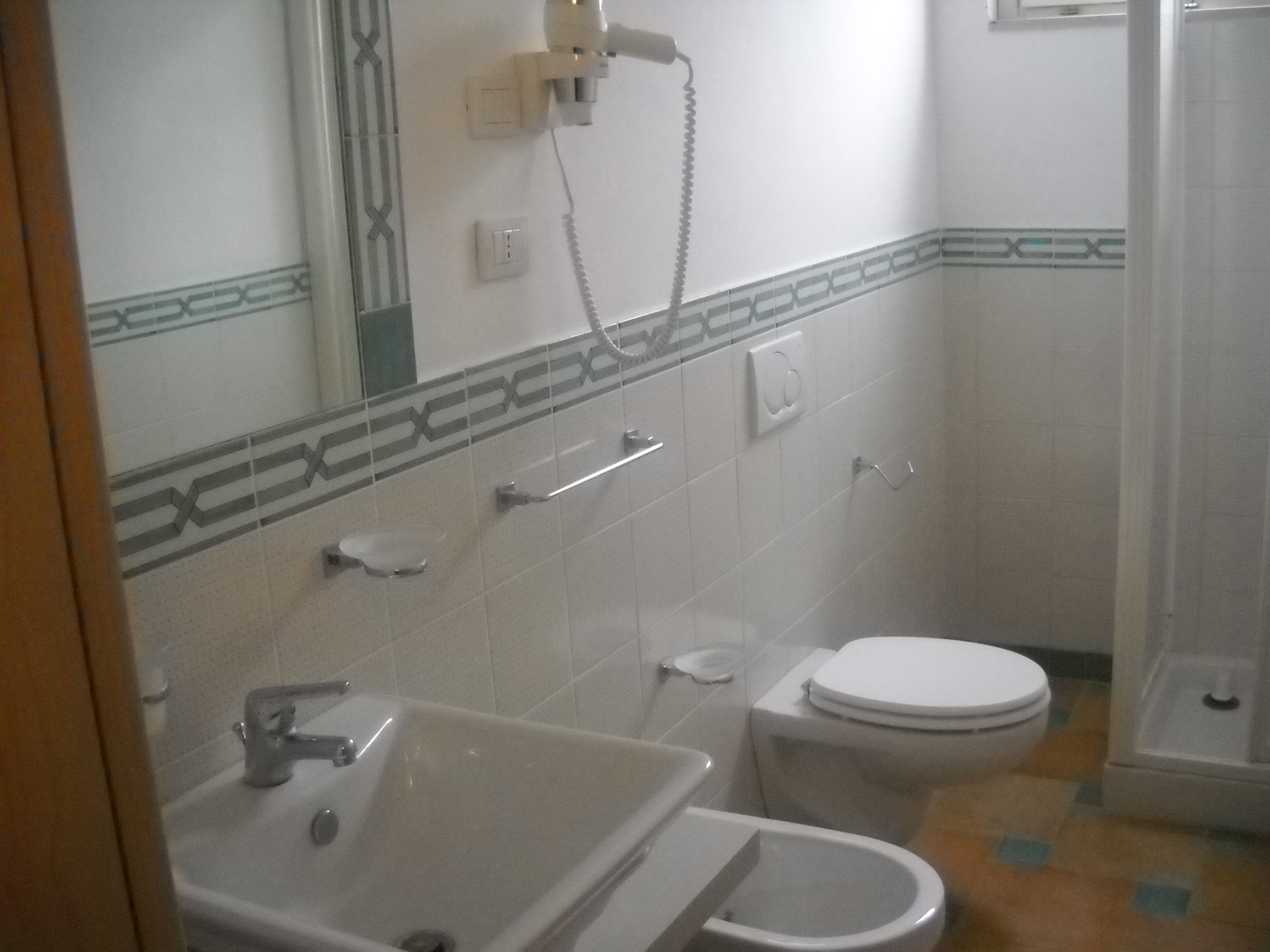 shower, free toiletries, hair dryer, slippers