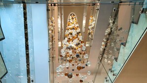 Un interior moderno con una escalera de cristal y una estructura decorativa con forma de árbol de vidrio.