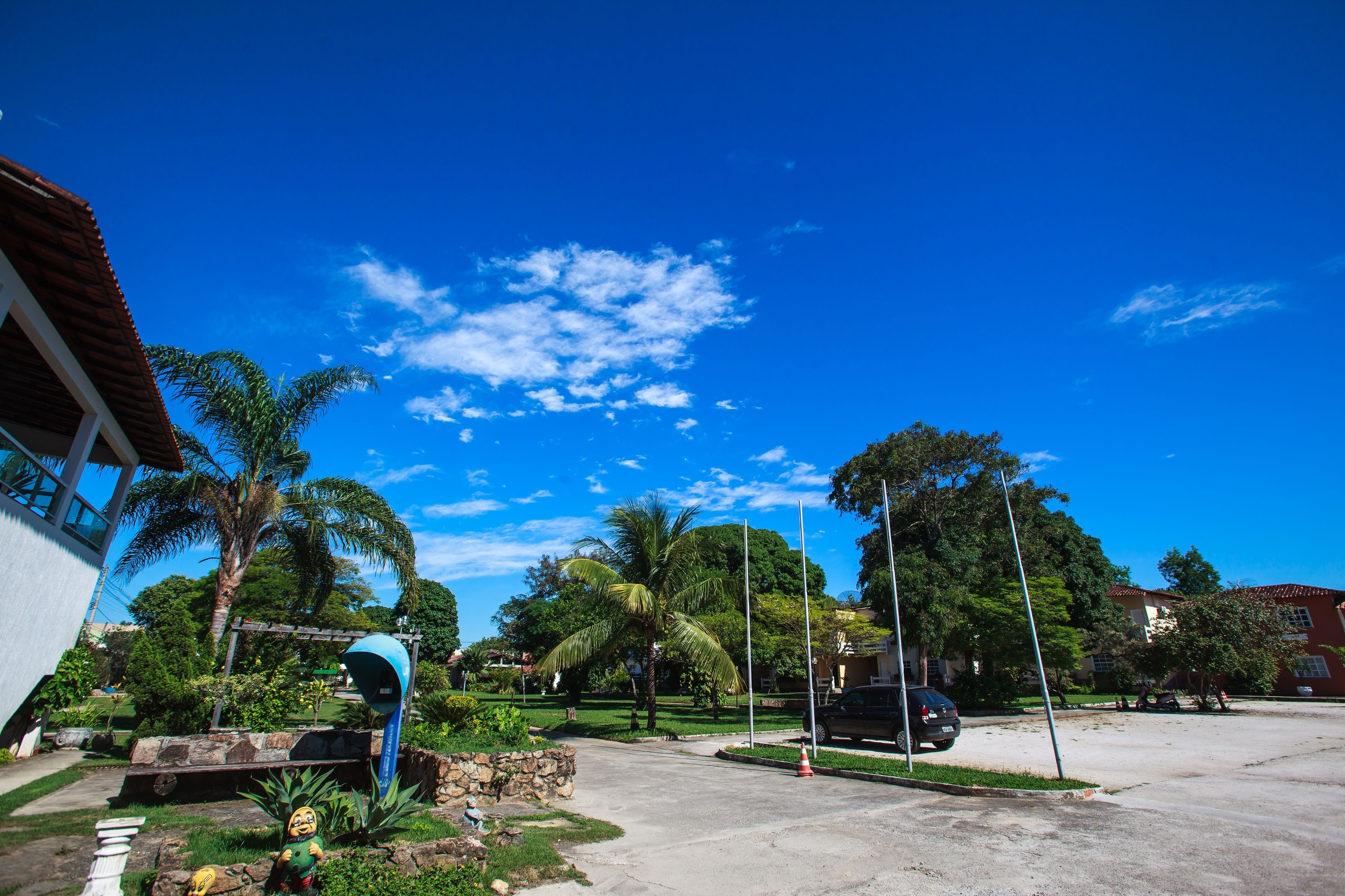 A parking lot with a black car, palm trees, and a clear blue sky.