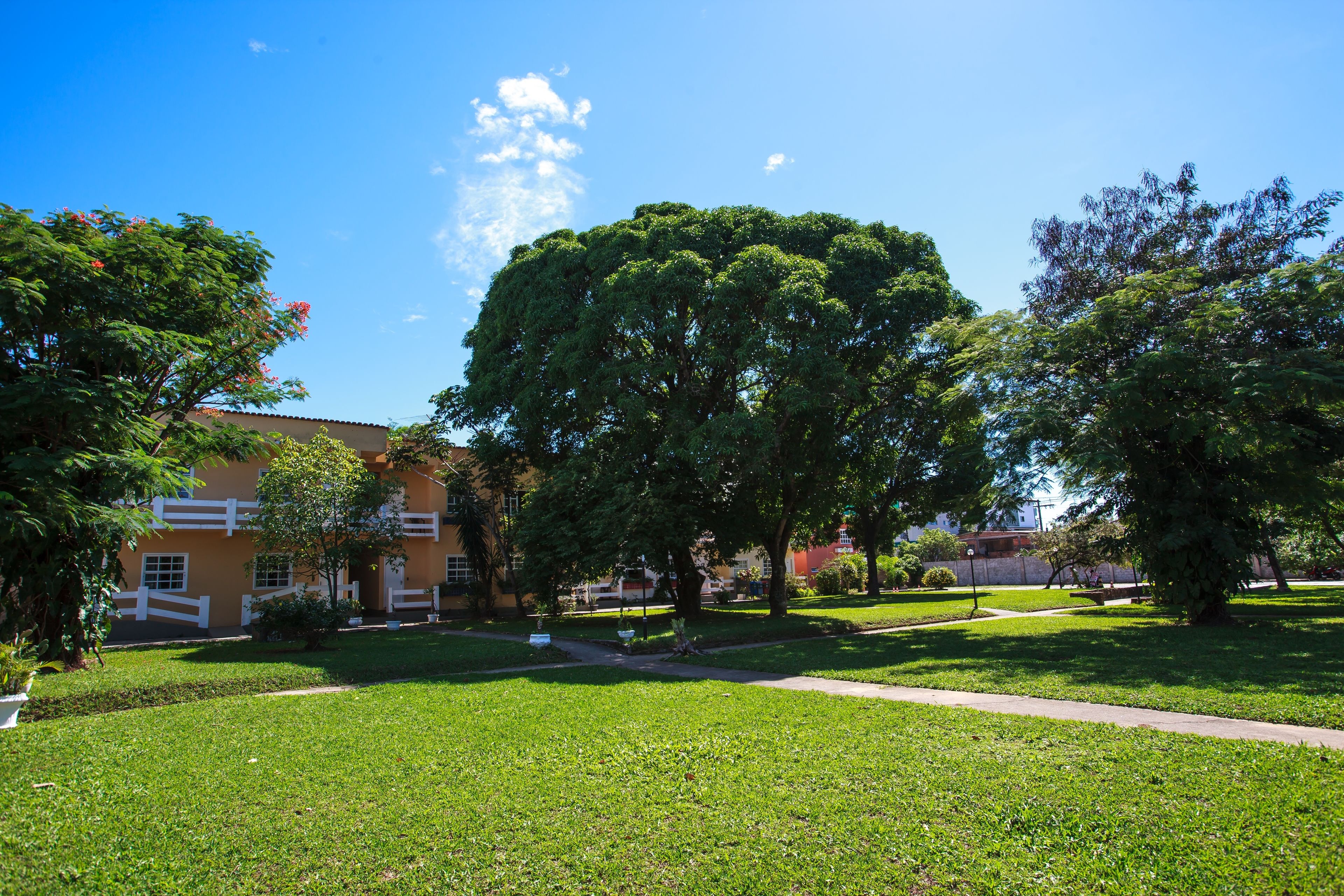 A grassy courtyard with a large tree, a pathway, and a building with a red roof.