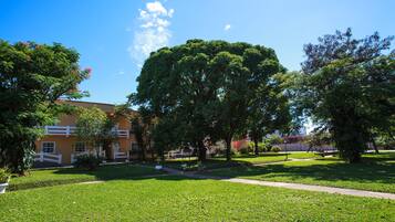 A grassy courtyard with a large tree, a pathway, and a building with a red roof.