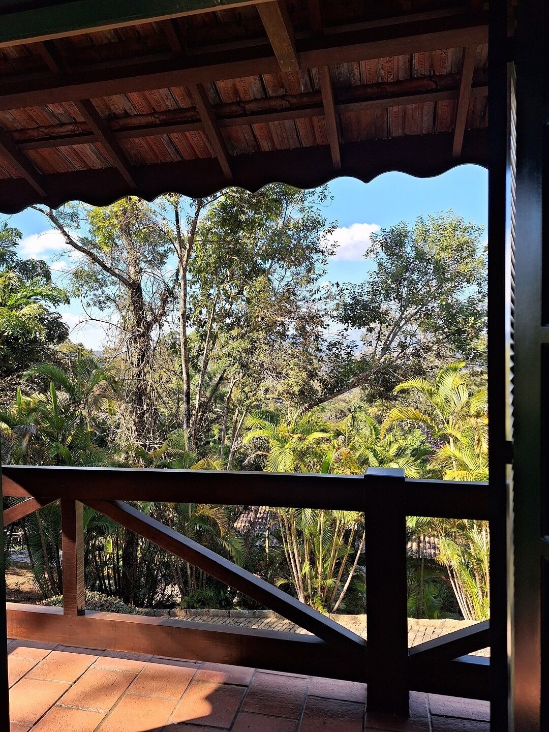 A covered outdoor area with a wooden deck and a view of tropical vegetation.