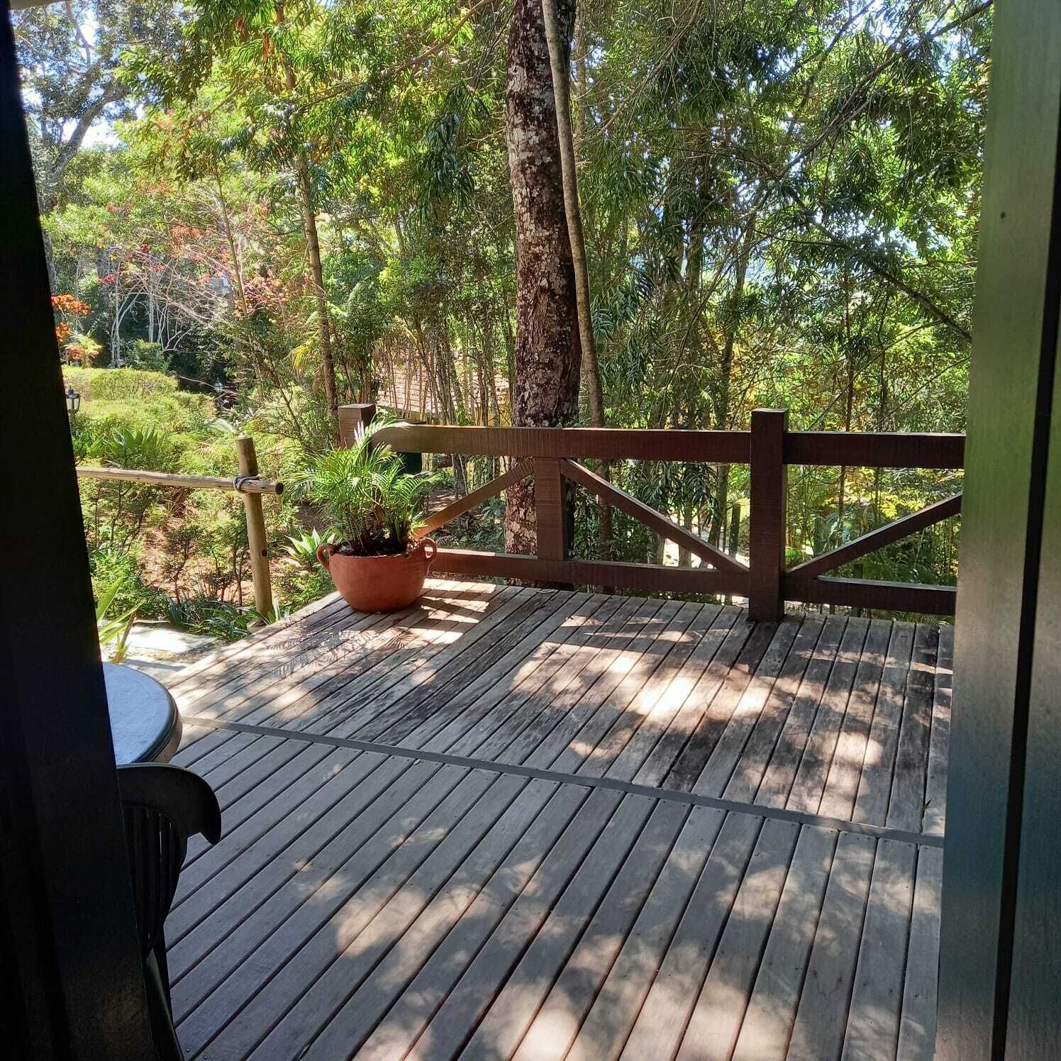 A wooden deck with a railing, surrounded by lush greenery and trees.