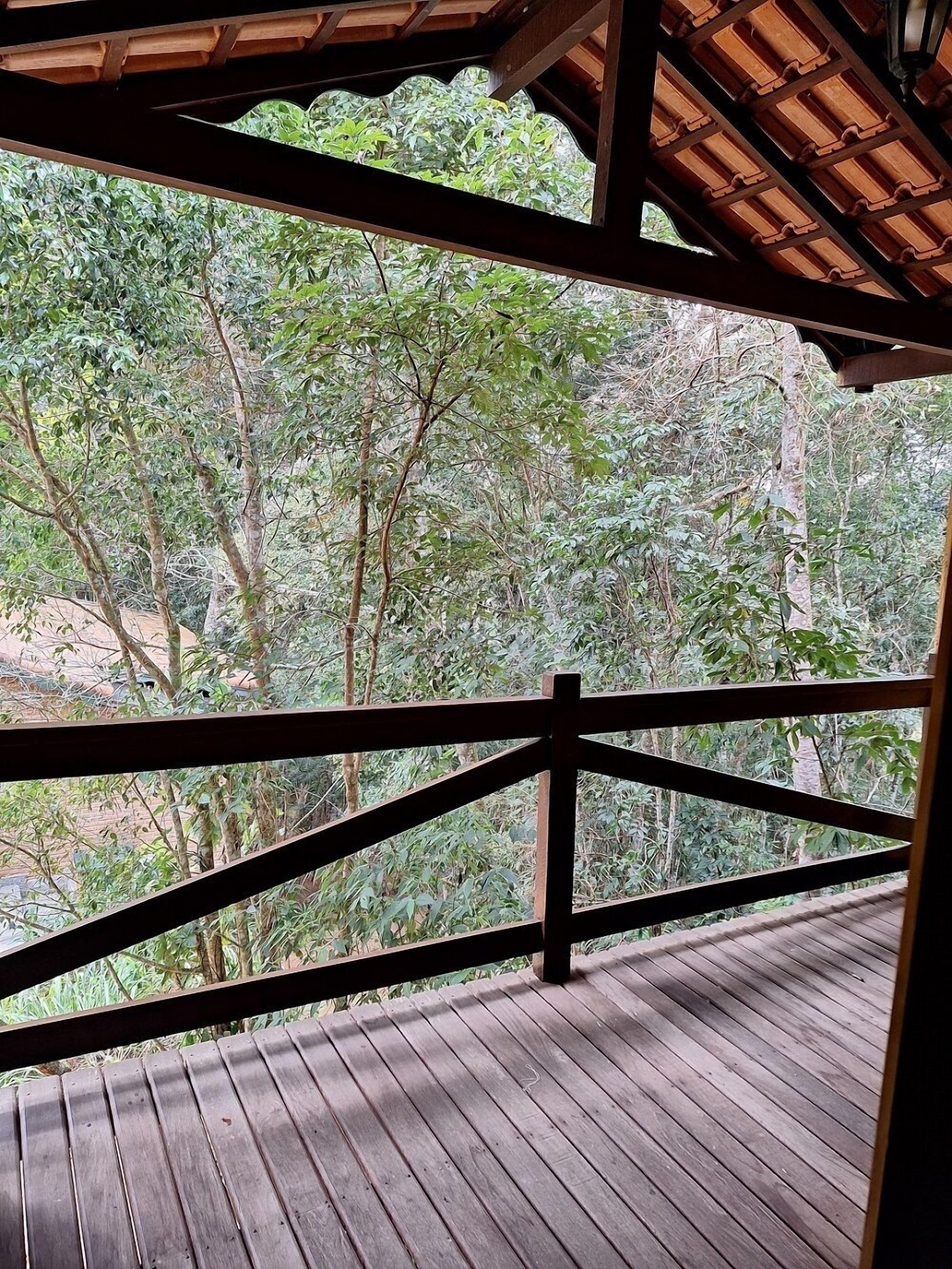 A wooden deck with a view of dense forest.