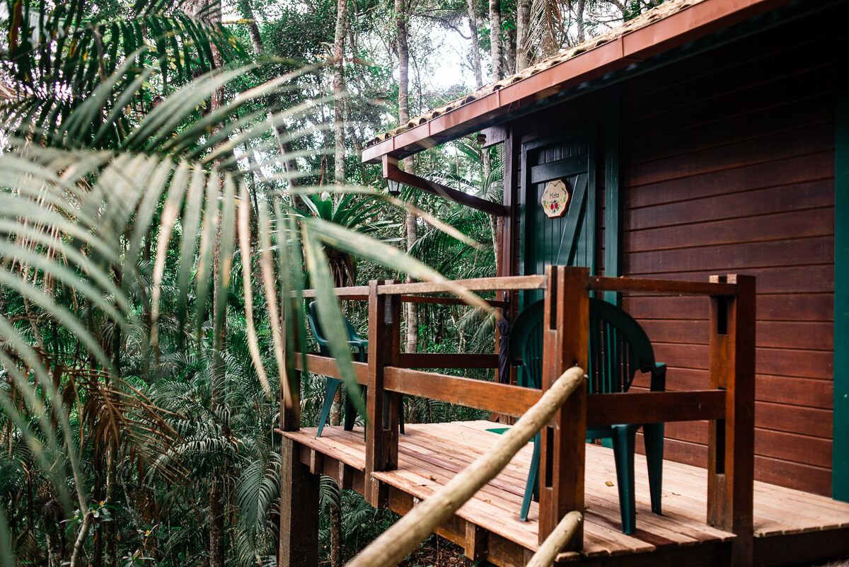 A wooden deck with chairs, a small wooden building with a green door, and dense tropical foliage in the background.