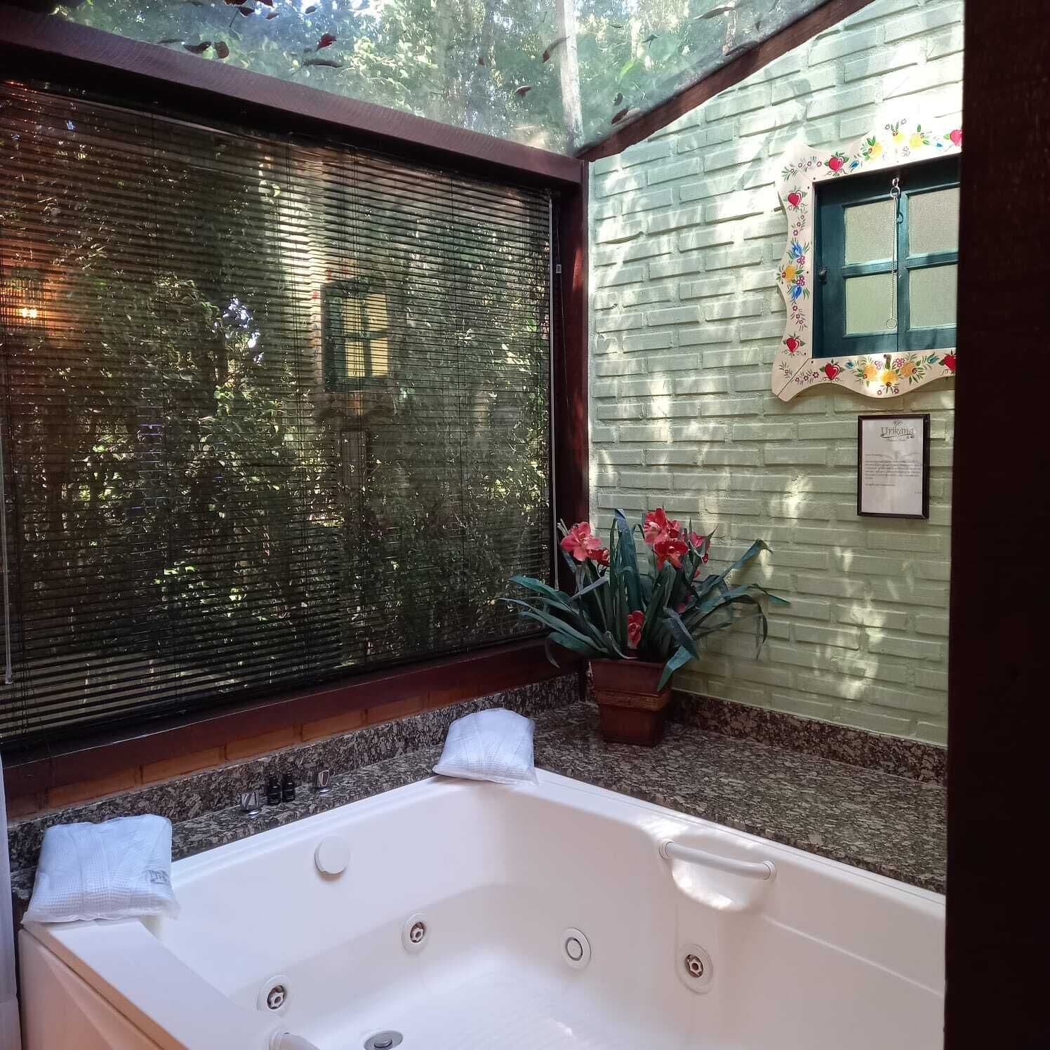 A bathroom with a large window, a bathtub, and a potted plant.