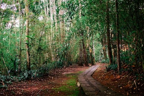 Hiking