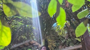 A person standing on a wooden deck with a view of lush greenery and a building in the background. - Charme Pousada Boutique & Spa (Cairu)