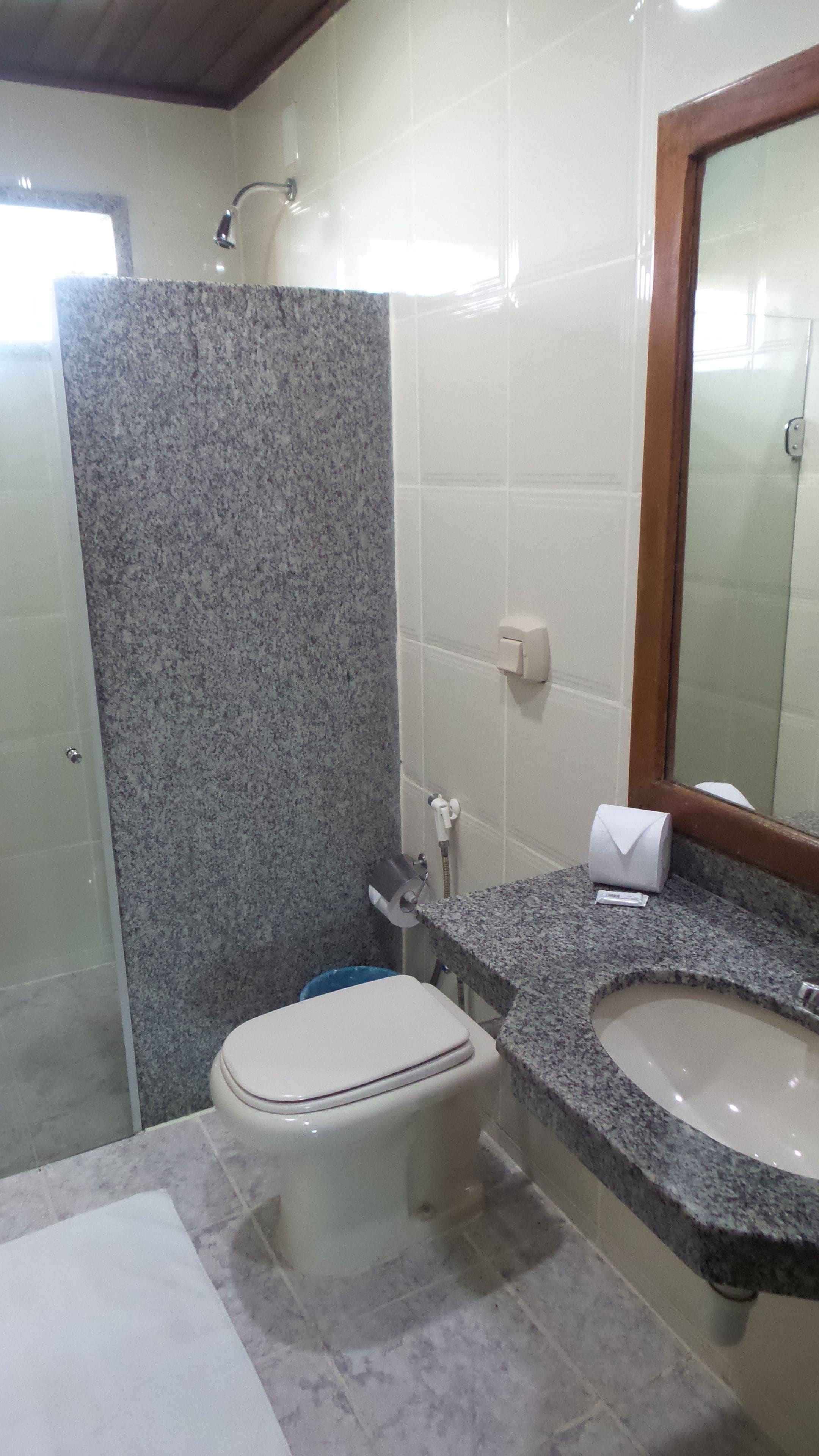 standard room | bathroom | shower, hair dryer, towels