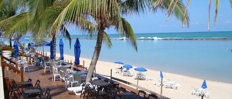 A beachside restaurant with outdoor seating, palm trees, and a view of the ocean.