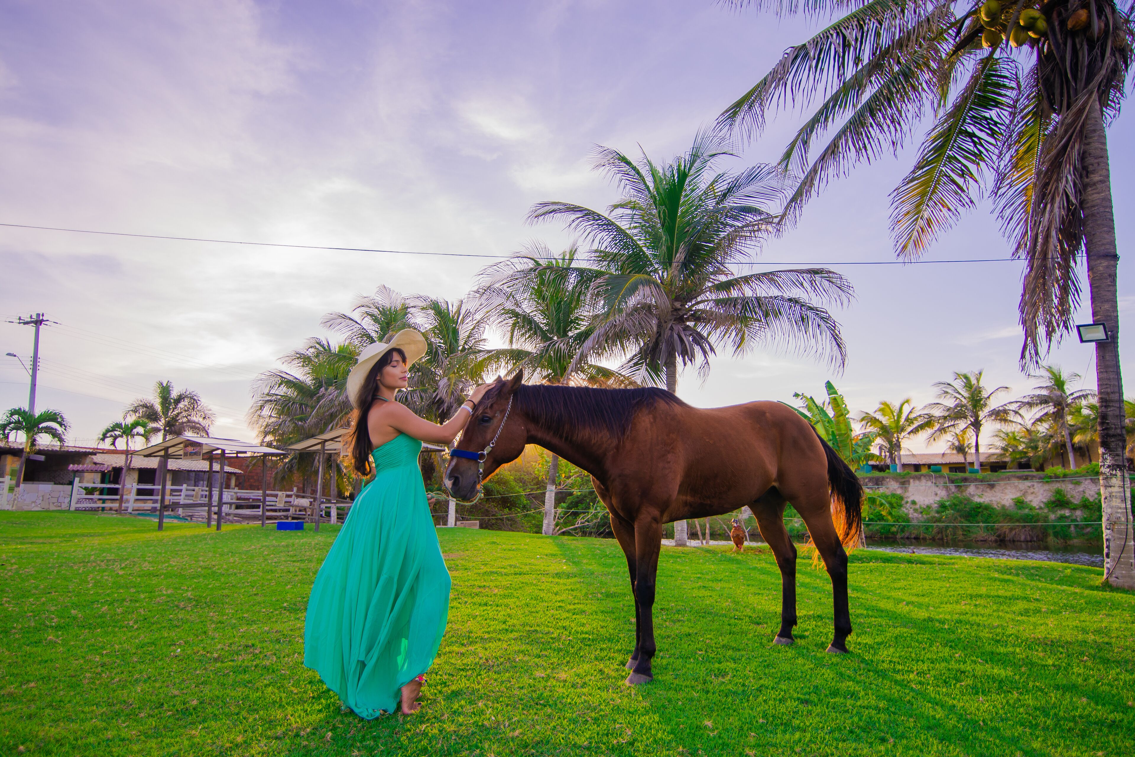 Una mujer con un vestido verde interactúa con un caballo en un área cubierta de pasto y palmeras.