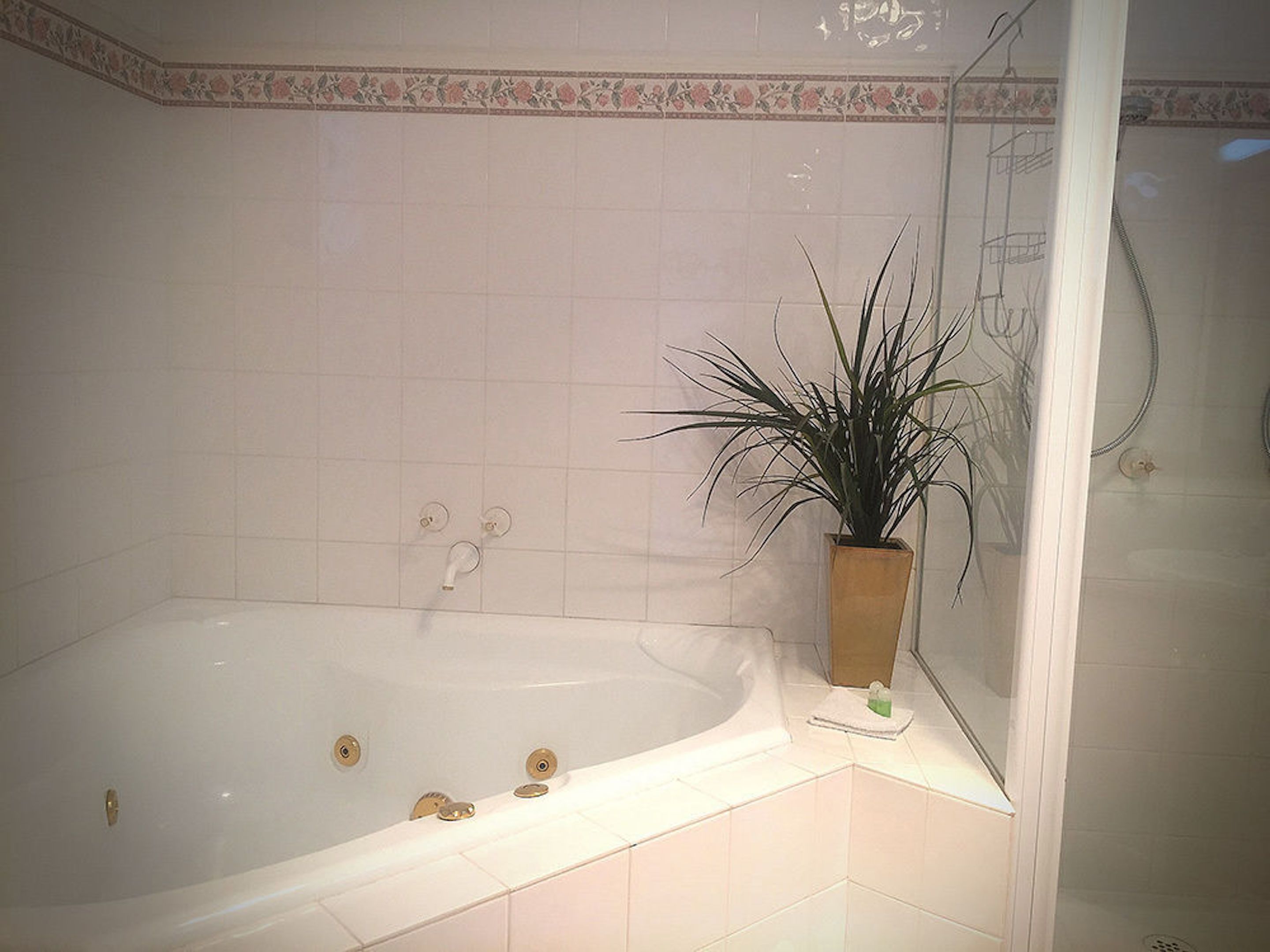 A bathroom with a bathtub, a potted plant, and a shower area.