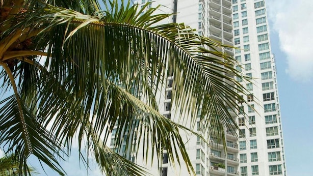 Zona de piscina con vistas a un edificio alto, palmeras y una cascada.