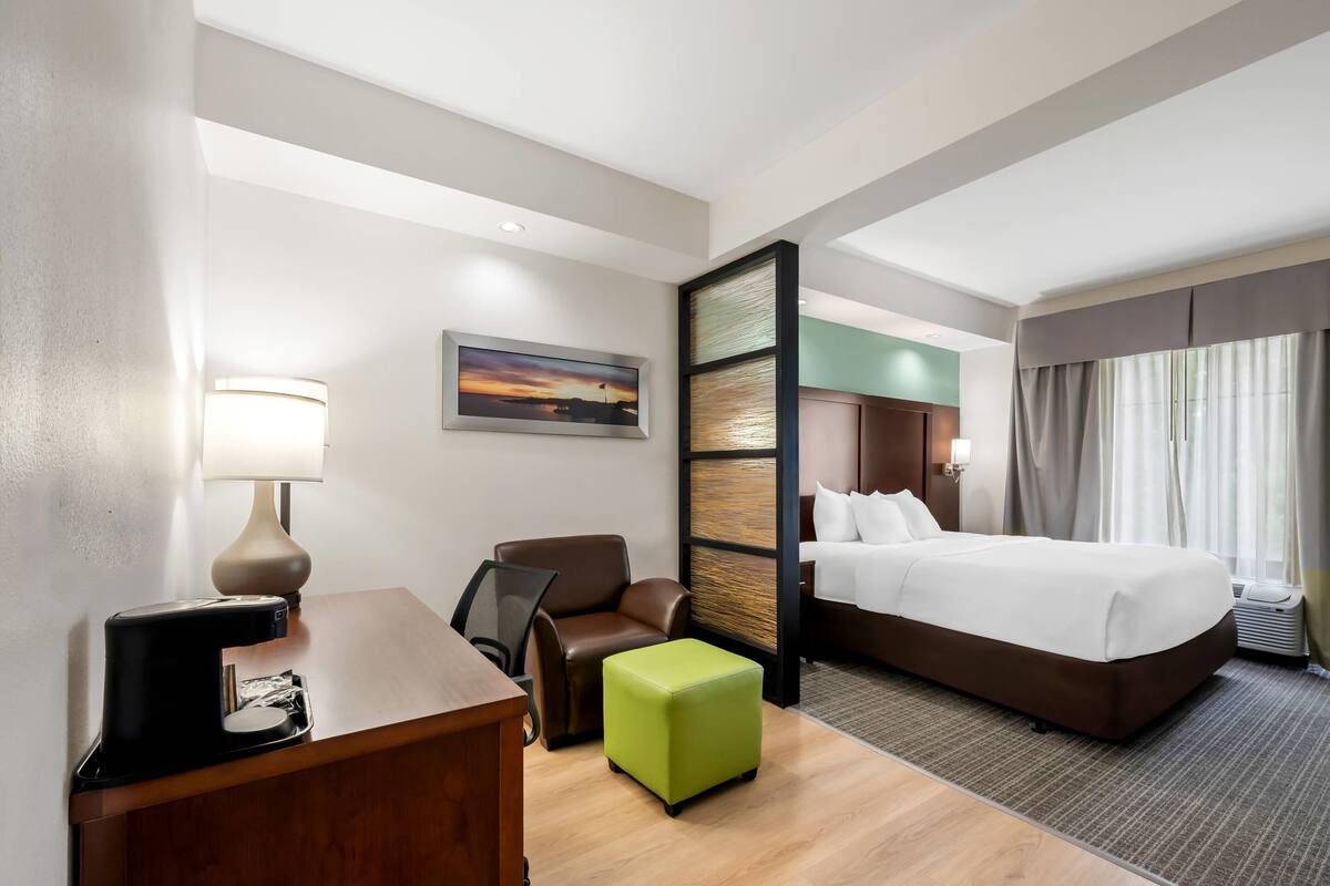 Suite, 1 kingsize bed, niet-roken | Een bureau, een laptopwerkplek, verduisterende gordijnen