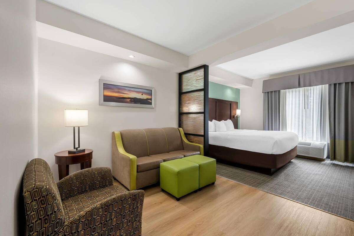 Suite, 1 kingsize bed met slaapbank, niet-roken | Een bureau, een laptopwerkplek, verduisterende gordijnen