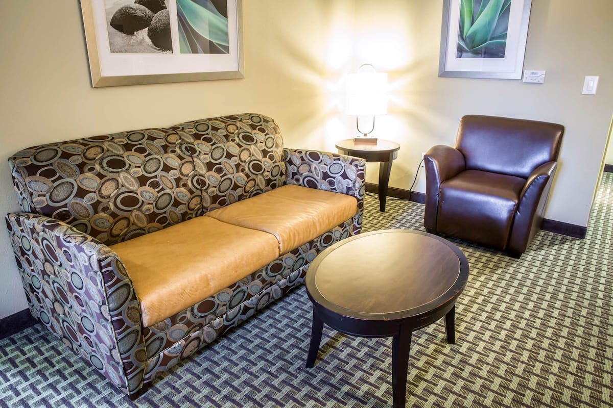 Suite, 1 King Bed with Sofa bed, Non Smoking, Jetted Tub | Desk, laptop workspace, blackout drapes, iron/ironing board