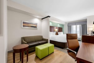 Una habitación de hotel con cama, sofá, escritorio y una mesita.