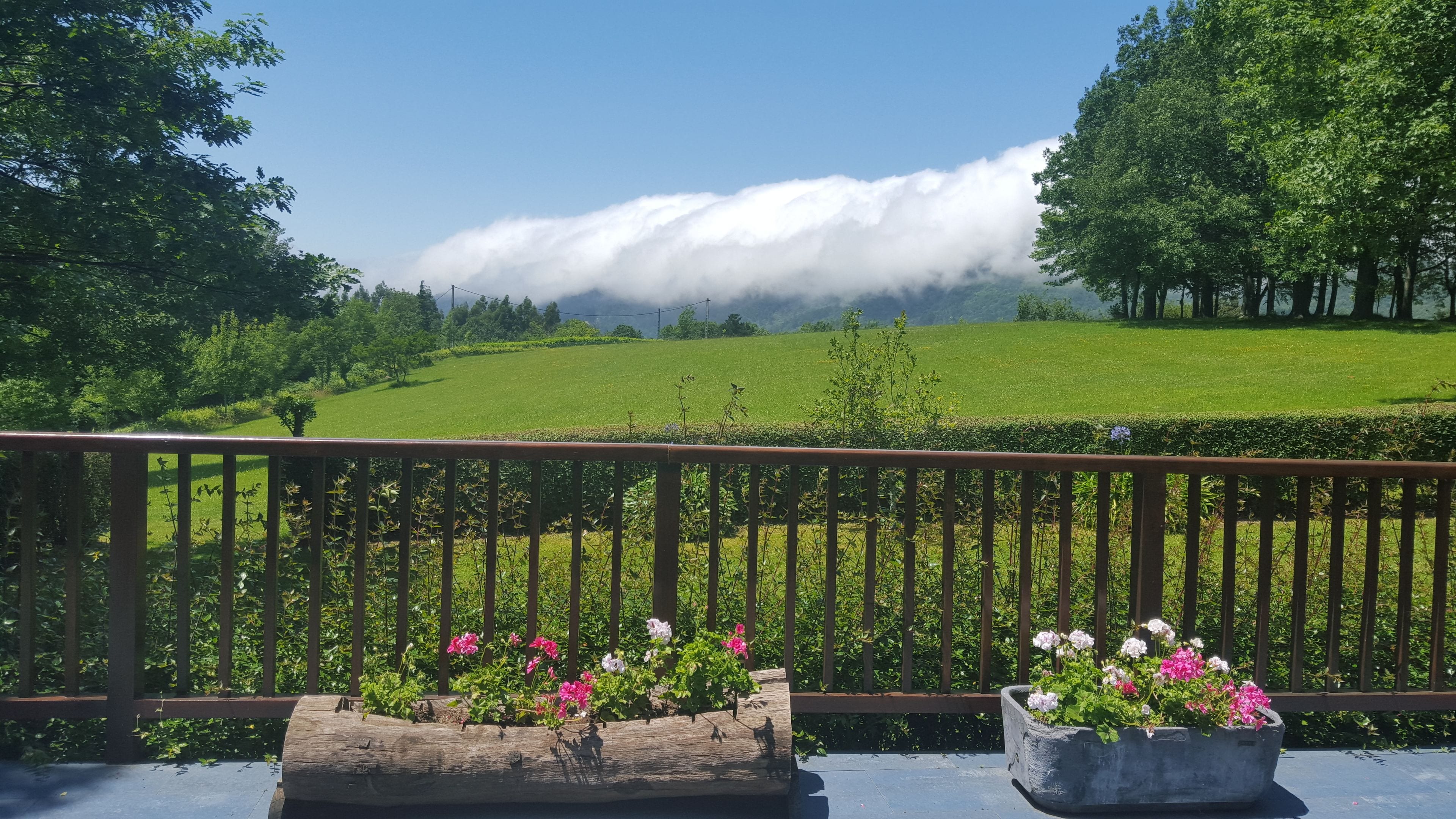 A wooden balcony with flower planters, overlooking a green field and a forested area with a cloudy sky.