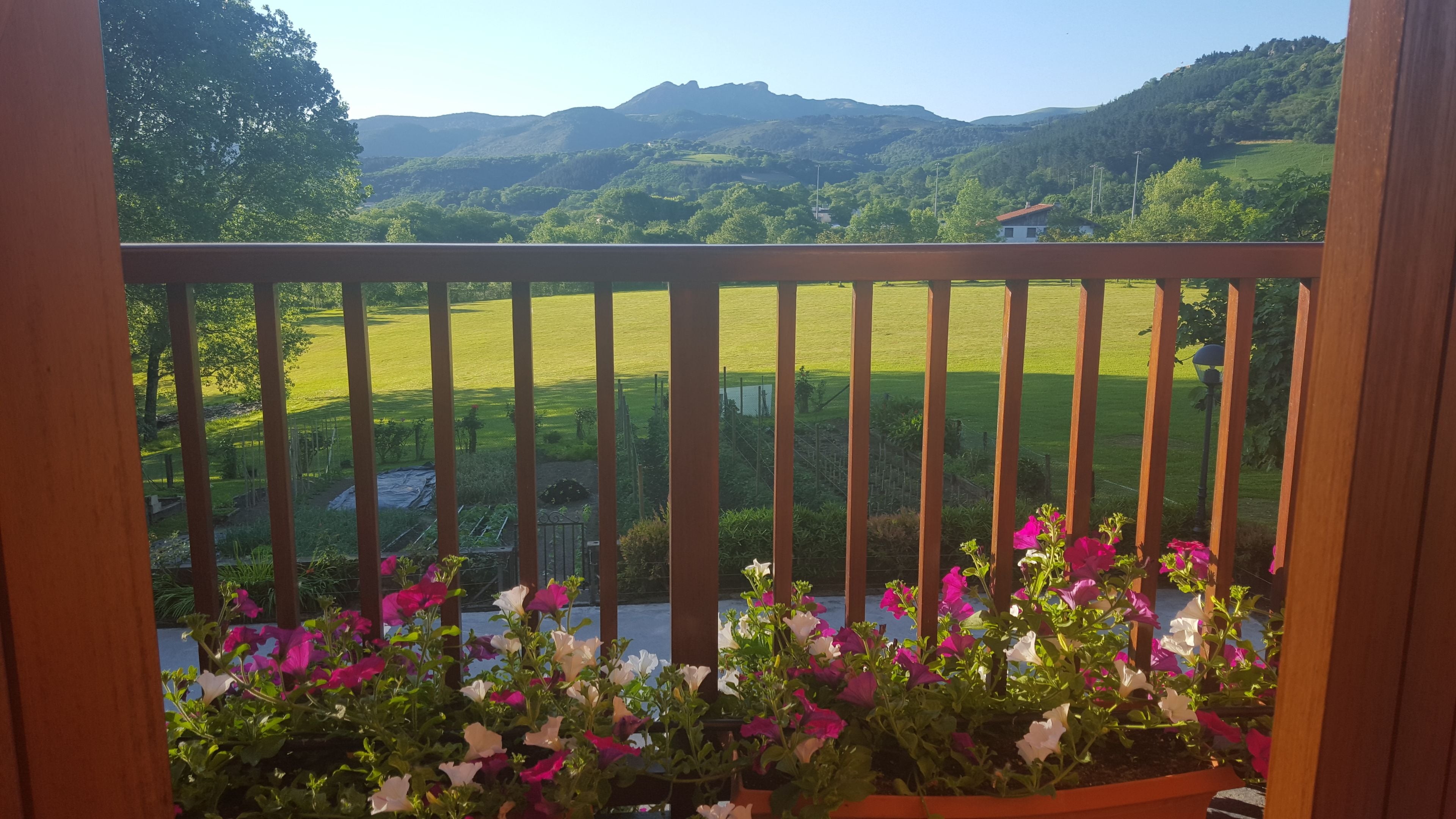 Un balcón con vistas a un paisaje verde y montañas.