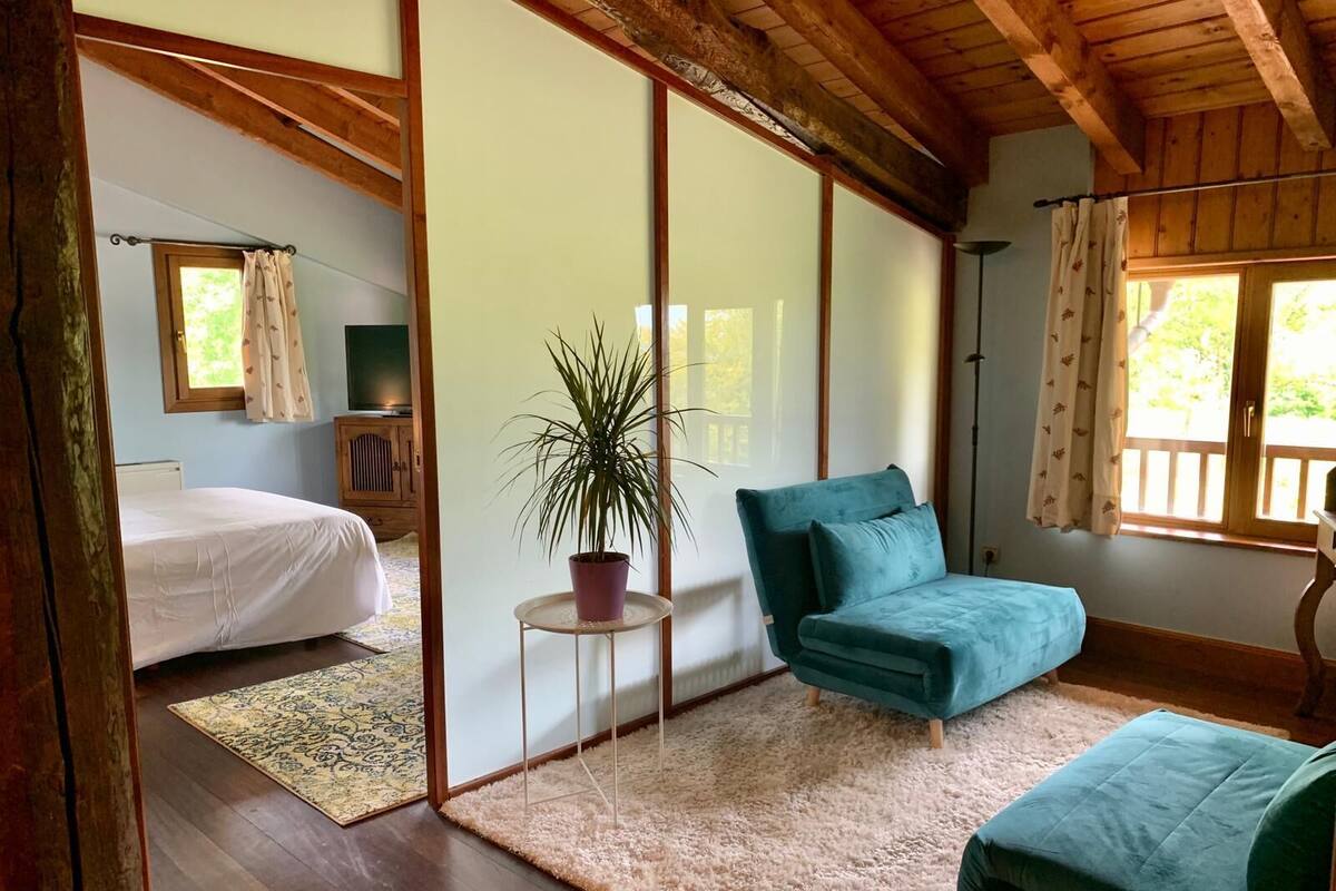 A room with a bed, a sofa, a potted plant, and a view of the outdoors.