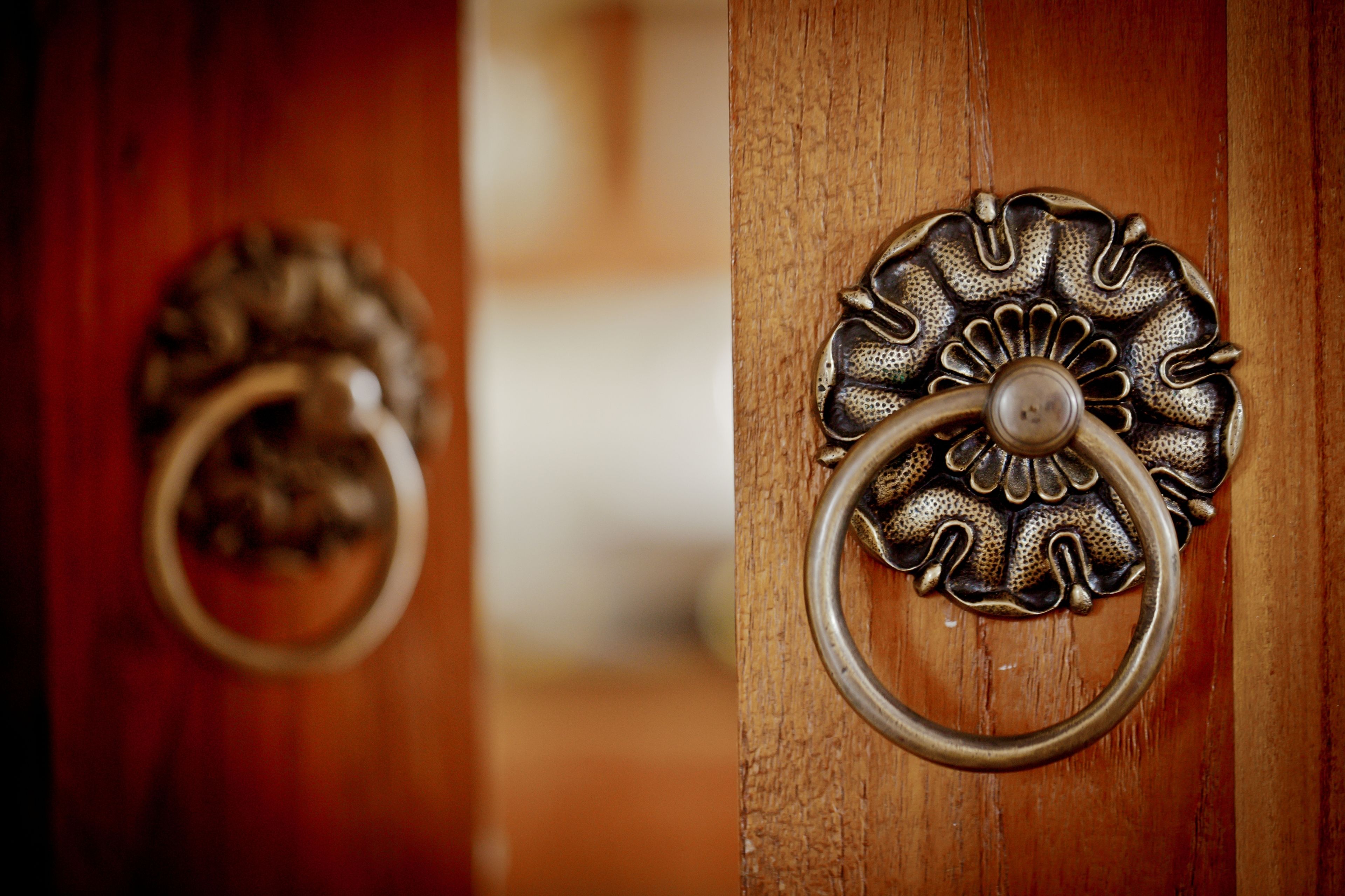 A wooden door with two ornate brass door knockers.
