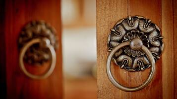 A wooden door with two ornate brass door knockers.