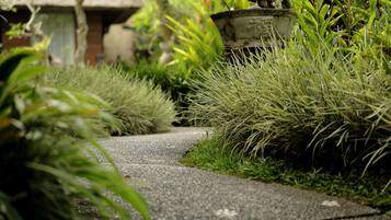 A pathway with grass and plants on either side, leading to a building with a thatched roof.