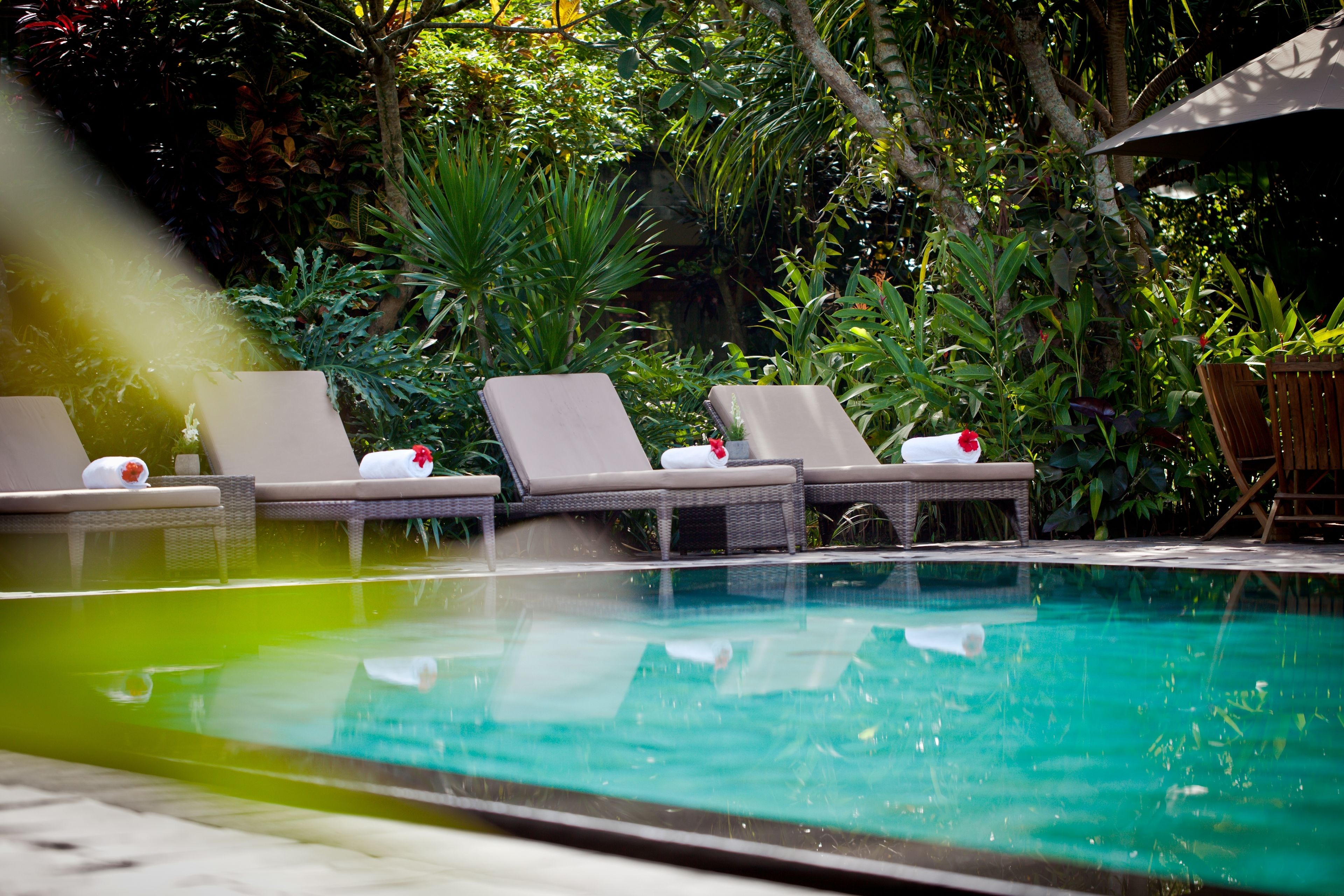 A pool with lounge chairs and a wooden chair, surrounded by lush greenery.