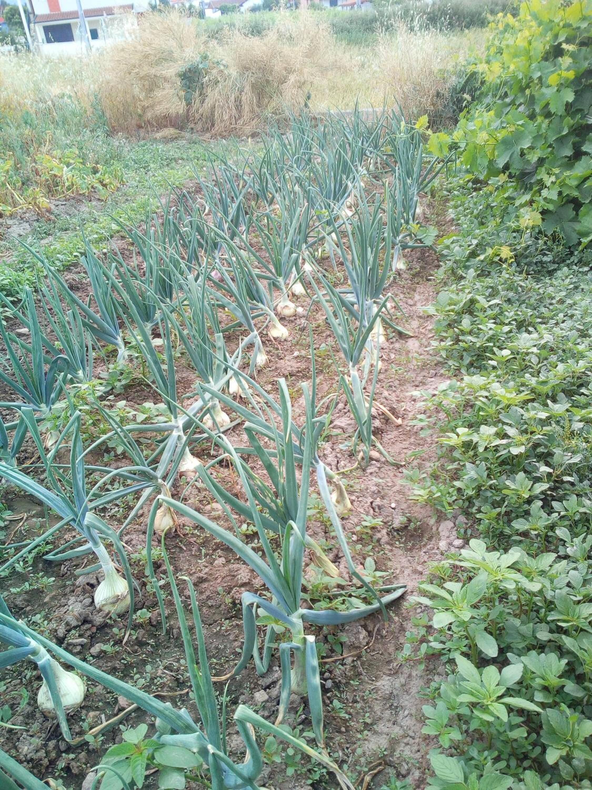 Photo - Hotel Encostas De Nantes