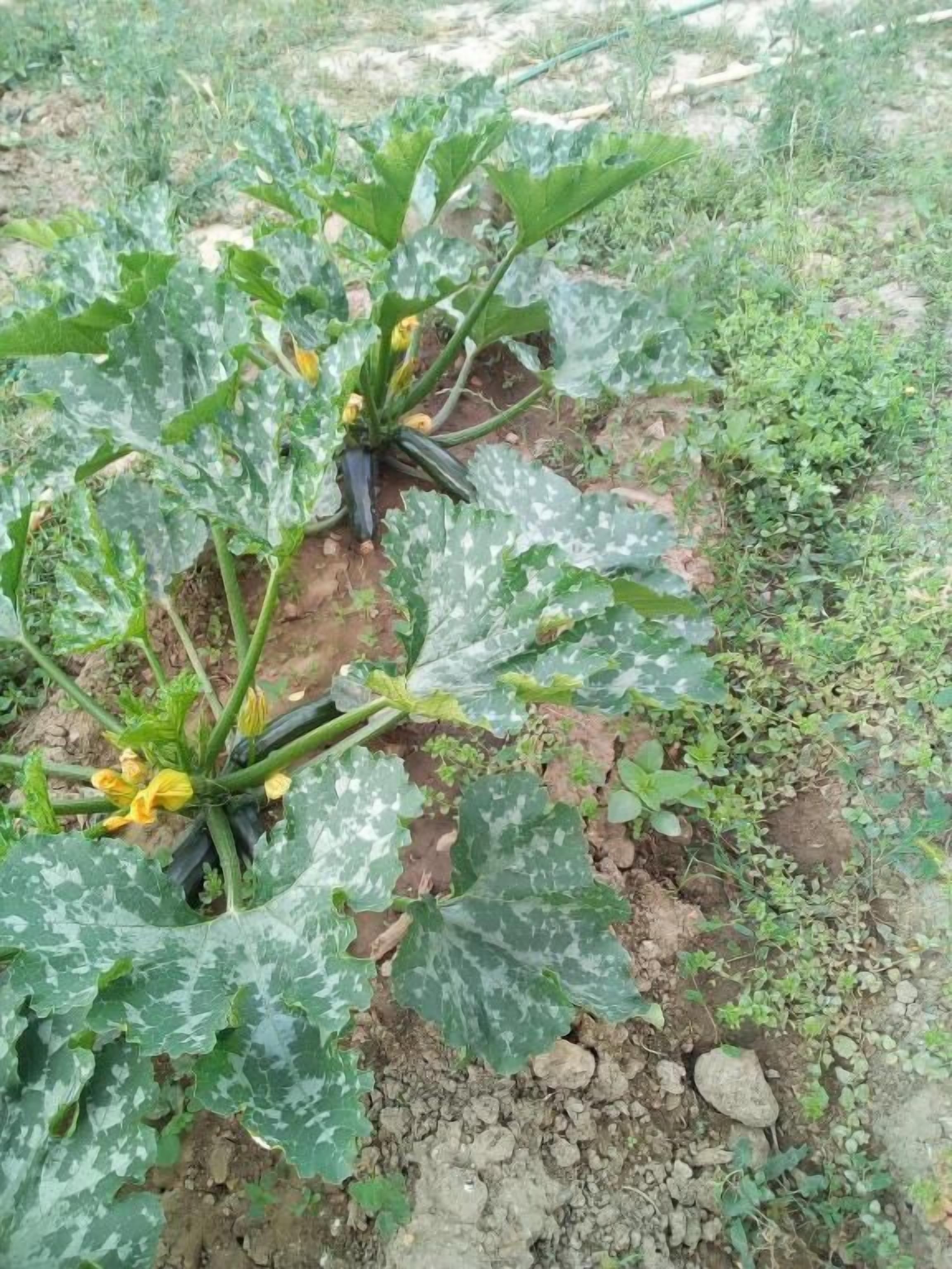 Photo - Hotel Encostas De Nantes