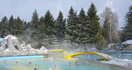 Johannesbad Thermalhotel Ludwig Thoma