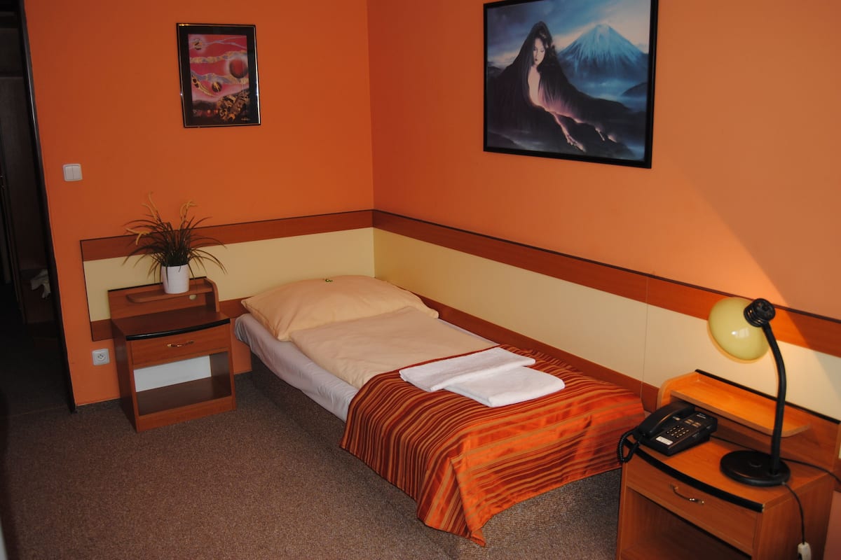 Un letto singolo con testiera in legno, un comodino con una lampada, una piccola pianta e un quadro appeso al muro.