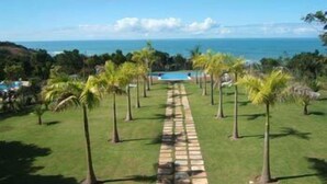 Un sentier bordé de palmiers qui mène à une piscine et offre une vue sur l’océan.